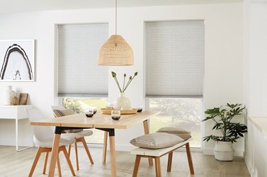 Pleated Blinds (2)