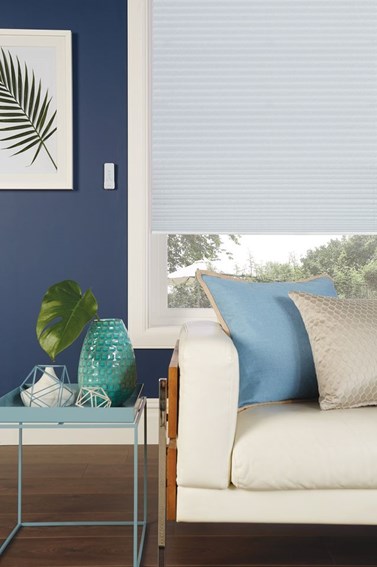 Pleated Blinds (3)