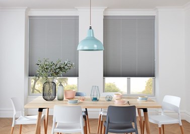 Pleated Blinds (5)
