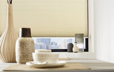 Pleated Blinds (16)