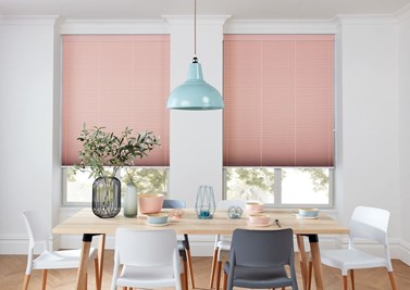 Pleated Blinds (20)