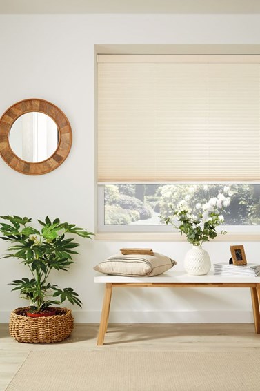 Pleated Blinds (28)